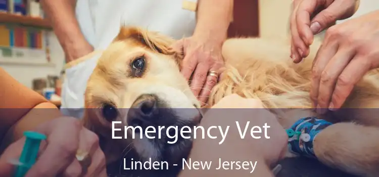 Emergency Vet Linden - New Jersey