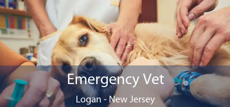 Emergency Vet Logan - New Jersey