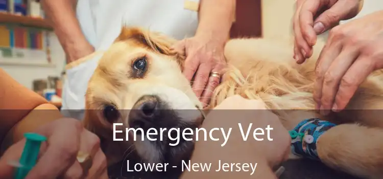 Emergency Vet Lower - New Jersey