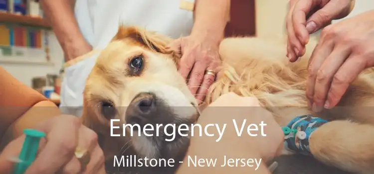 Emergency Vet Millstone - New Jersey