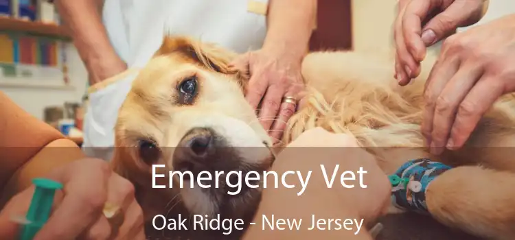 Emergency Vet Oak Ridge - New Jersey