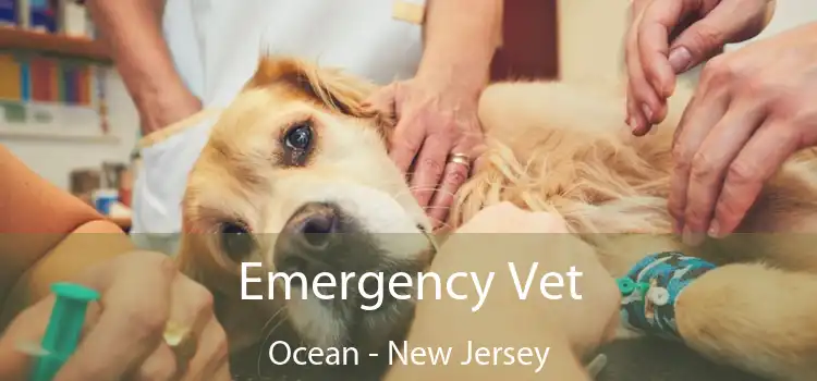 Emergency Vet Ocean - New Jersey