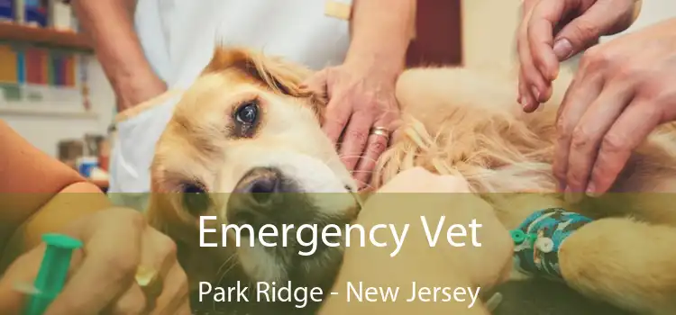 Emergency Vet Park Ridge - New Jersey