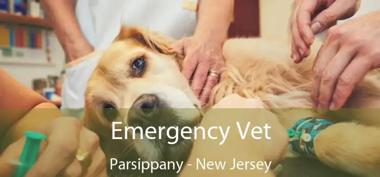 Emergency Vet Parsippany - New Jersey