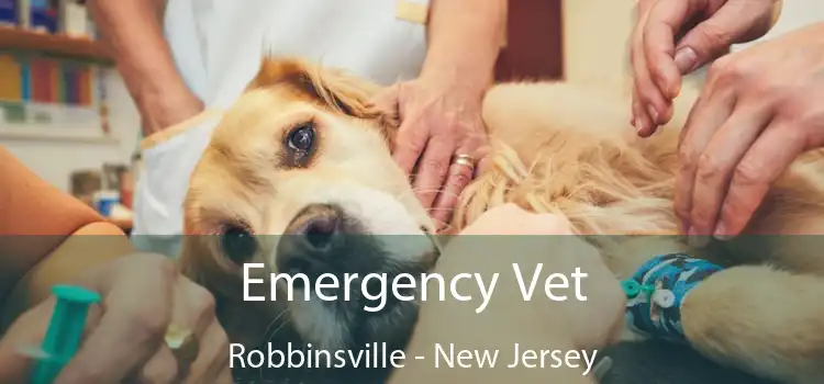 Emergency Vet Robbinsville - New Jersey