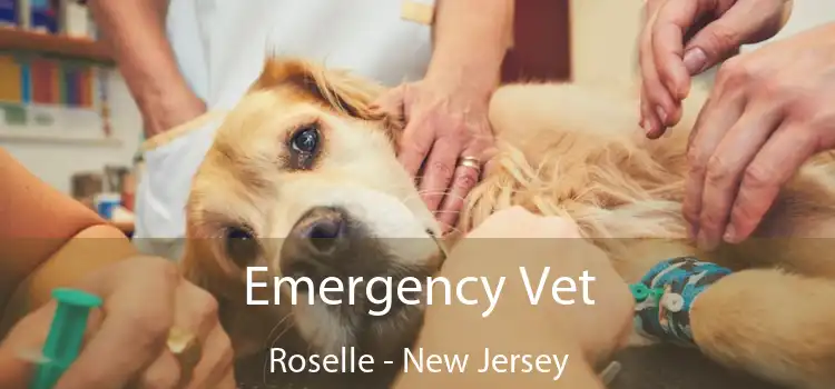 Emergency Vet Roselle - New Jersey