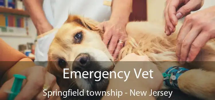 Emergency Vet Springfield township - New Jersey