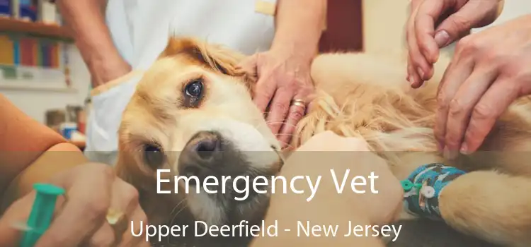 Emergency Vet Upper Deerfield - New Jersey