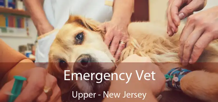 Emergency Vet Upper - New Jersey