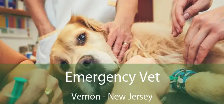 Emergency Vet Vernon - New Jersey