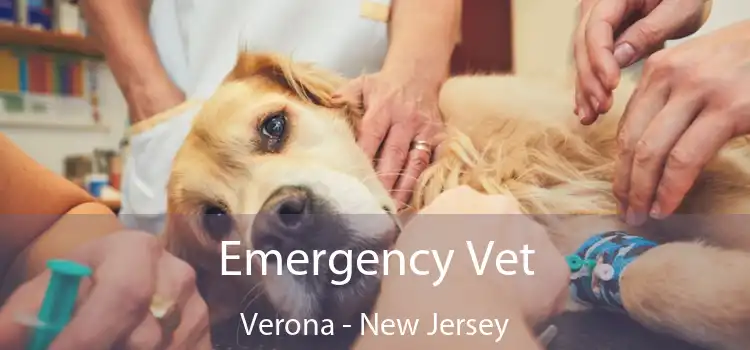 Emergency Vet Verona - New Jersey