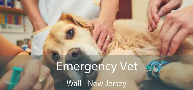 Emergency Vet Wall - New Jersey