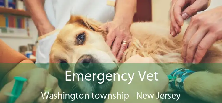 Emergency Vet Washington township - New Jersey