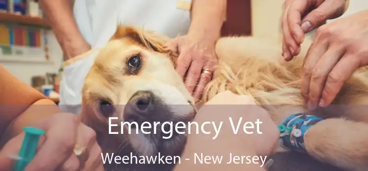 Emergency Vet Weehawken - New Jersey