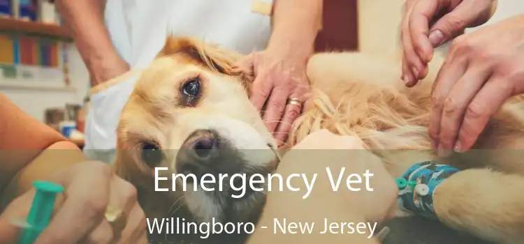 Emergency Vet Willingboro - New Jersey