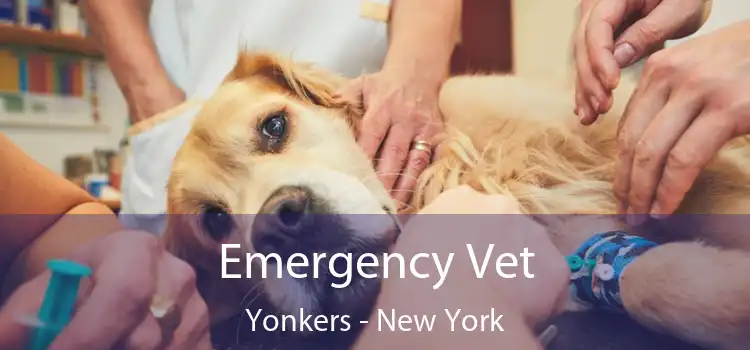 Emergency Vet Yonkers - New York