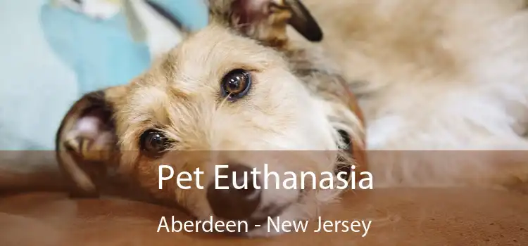 Pet Euthanasia Aberdeen - New Jersey