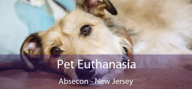 Pet Euthanasia Absecon - New Jersey