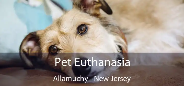 Pet Euthanasia Allamuchy - New Jersey