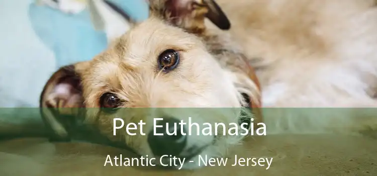 Pet Euthanasia Atlantic City - New Jersey