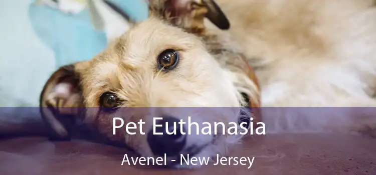 Pet Euthanasia Avenel - New Jersey