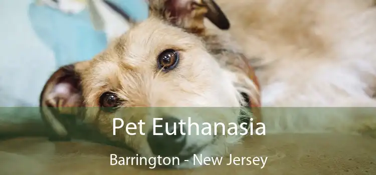 Pet Euthanasia Barrington - New Jersey