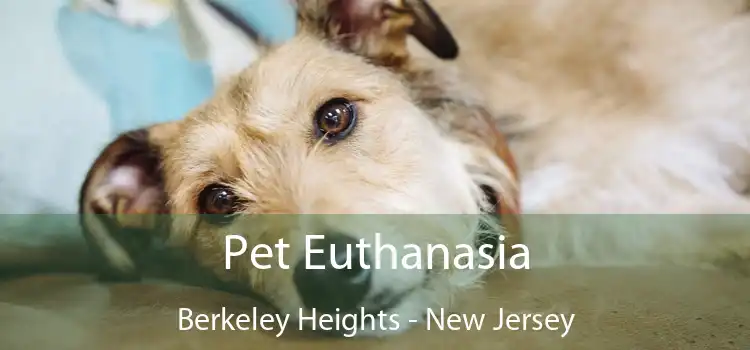 Pet Euthanasia Berkeley Heights - New Jersey