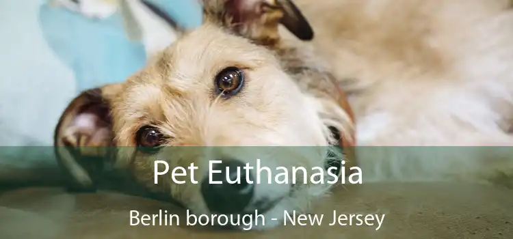 Pet Euthanasia Berlin borough - New Jersey