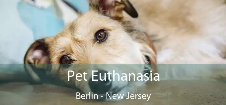 Pet Euthanasia Berlin - New Jersey