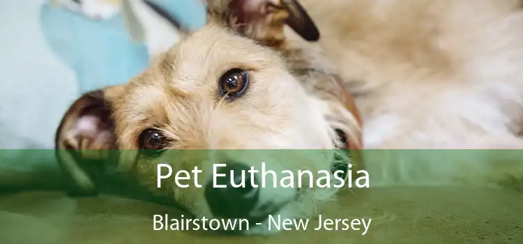 Pet Euthanasia Blairstown - New Jersey