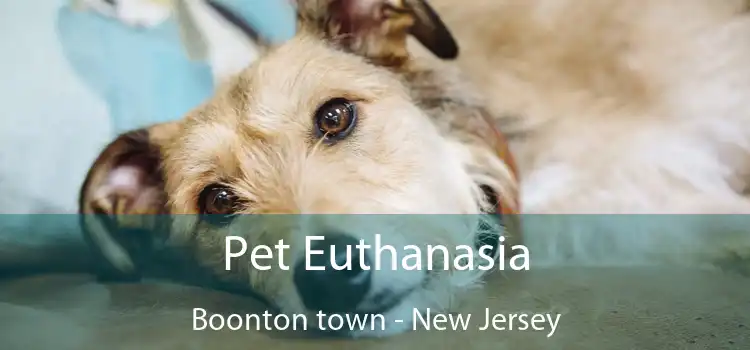 Pet Euthanasia Boonton town - New Jersey