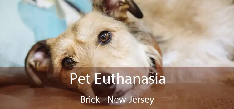 Pet Euthanasia Brick - New Jersey