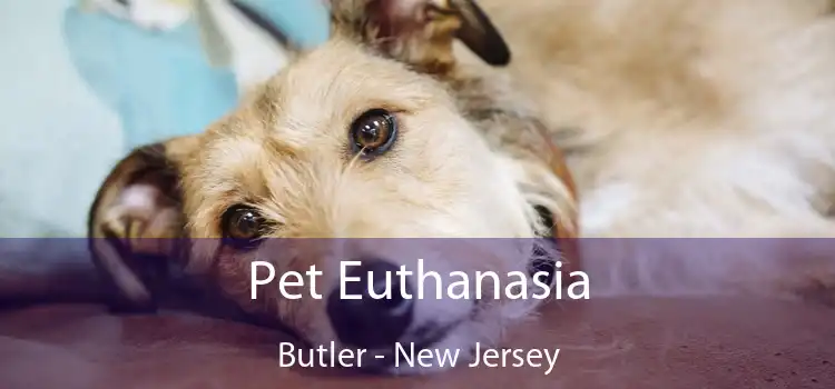 Pet Euthanasia Butler - New Jersey