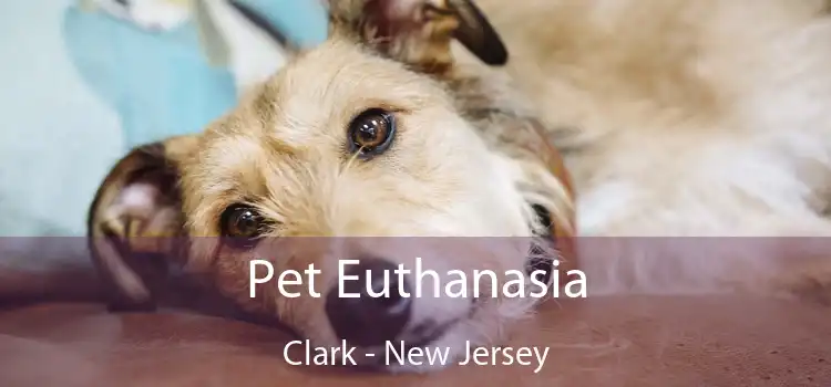 Pet Euthanasia Clark - New Jersey