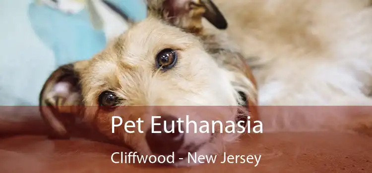 Pet Euthanasia Cliffwood - New Jersey