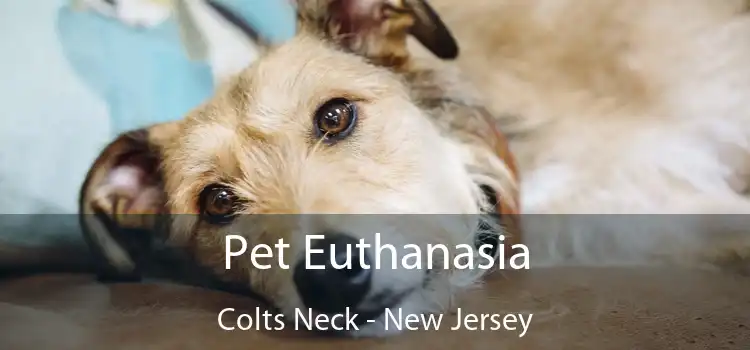 Pet Euthanasia Colts Neck - New Jersey