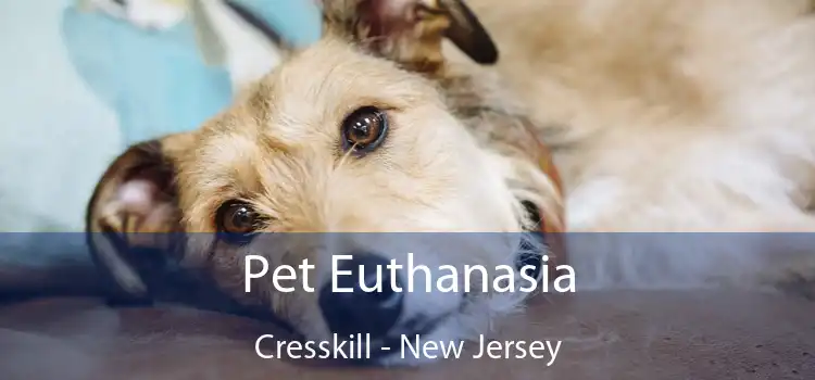 Pet Euthanasia Cresskill - New Jersey