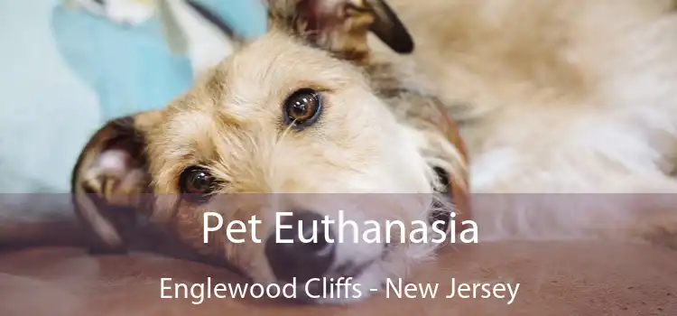 Pet Euthanasia Englewood Cliffs - New Jersey