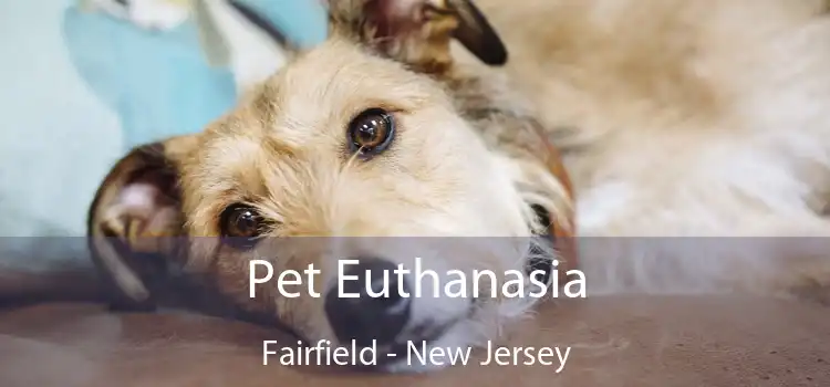 Pet Euthanasia Fairfield - New Jersey