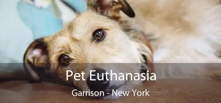 Pet Euthanasia Garrison - New York