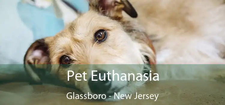 Pet Euthanasia Glassboro - New Jersey