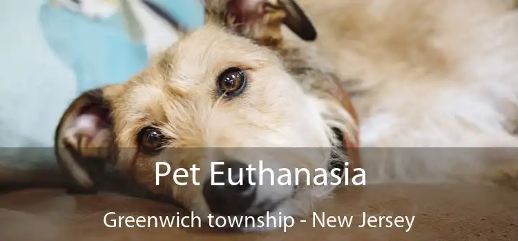 Pet Euthanasia Greenwich township - New Jersey