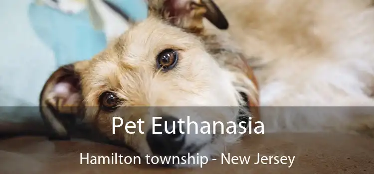 Pet Euthanasia Hamilton township - New Jersey