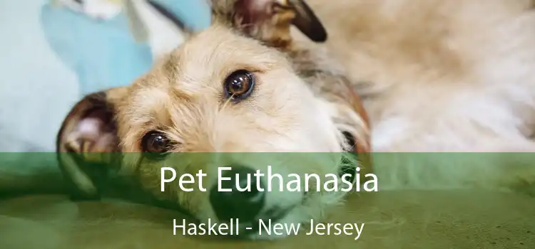 Pet Euthanasia Haskell - New Jersey