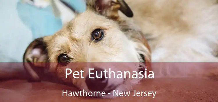 Pet Euthanasia Hawthorne - New Jersey