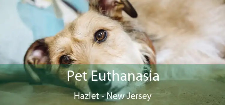 Pet Euthanasia Hazlet - New Jersey