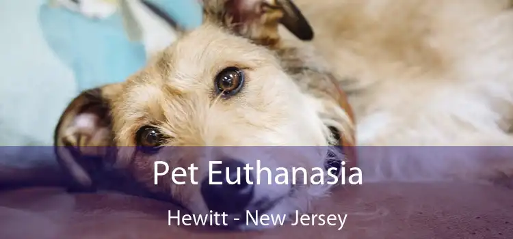 Pet Euthanasia Hewitt - New Jersey