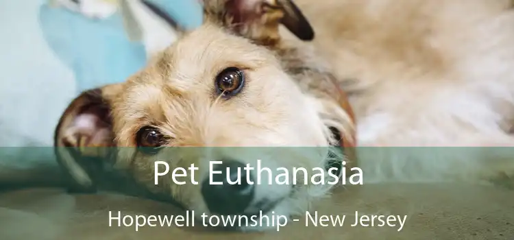 Pet Euthanasia Hopewell township - New Jersey