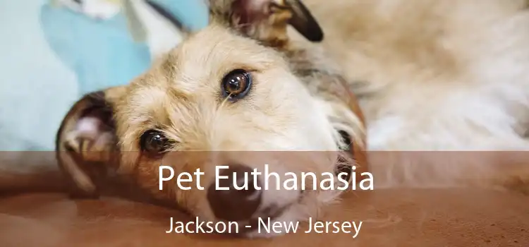 Pet Euthanasia Jackson - New Jersey