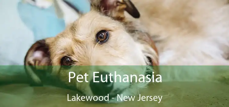 Pet Euthanasia Lakewood - New Jersey